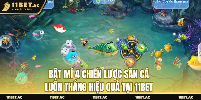 Bật mí 4 chiến lược săn cá hiệu quả tại 11bet