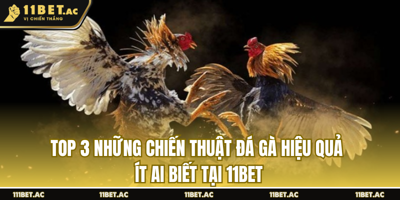top 3 chiến thuật đá gà hiệu quả