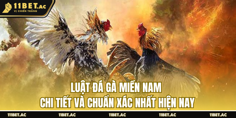 Luật đá gà miền nam chuẩn xác nhất