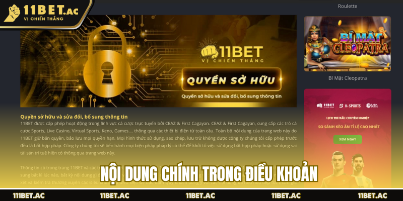 Nội dung chính trong điều khoản